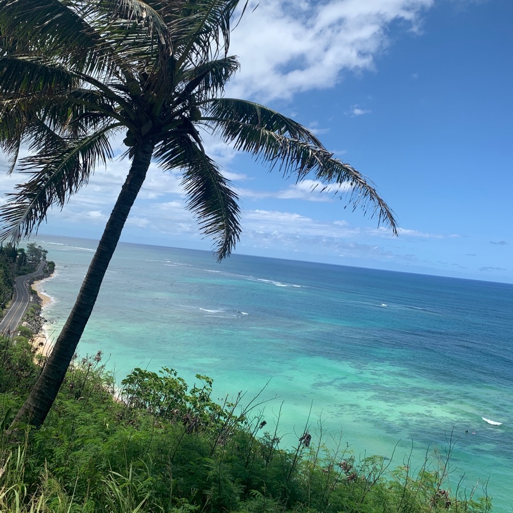 Meet your Posher, Rosa